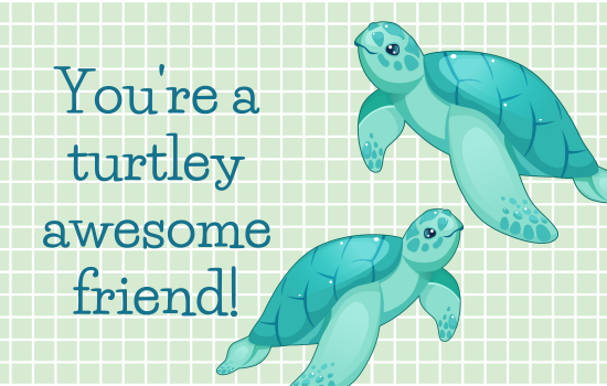 You're a turtley awesome friend!