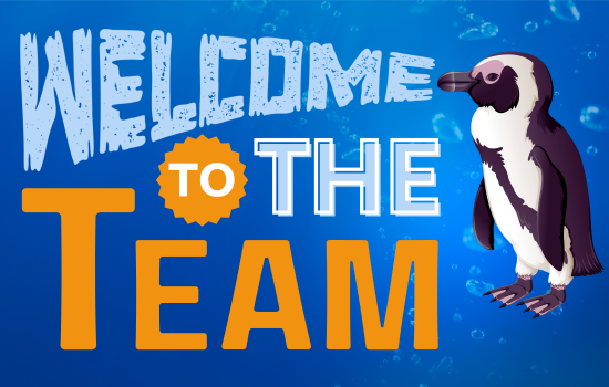 Welcome to the Team