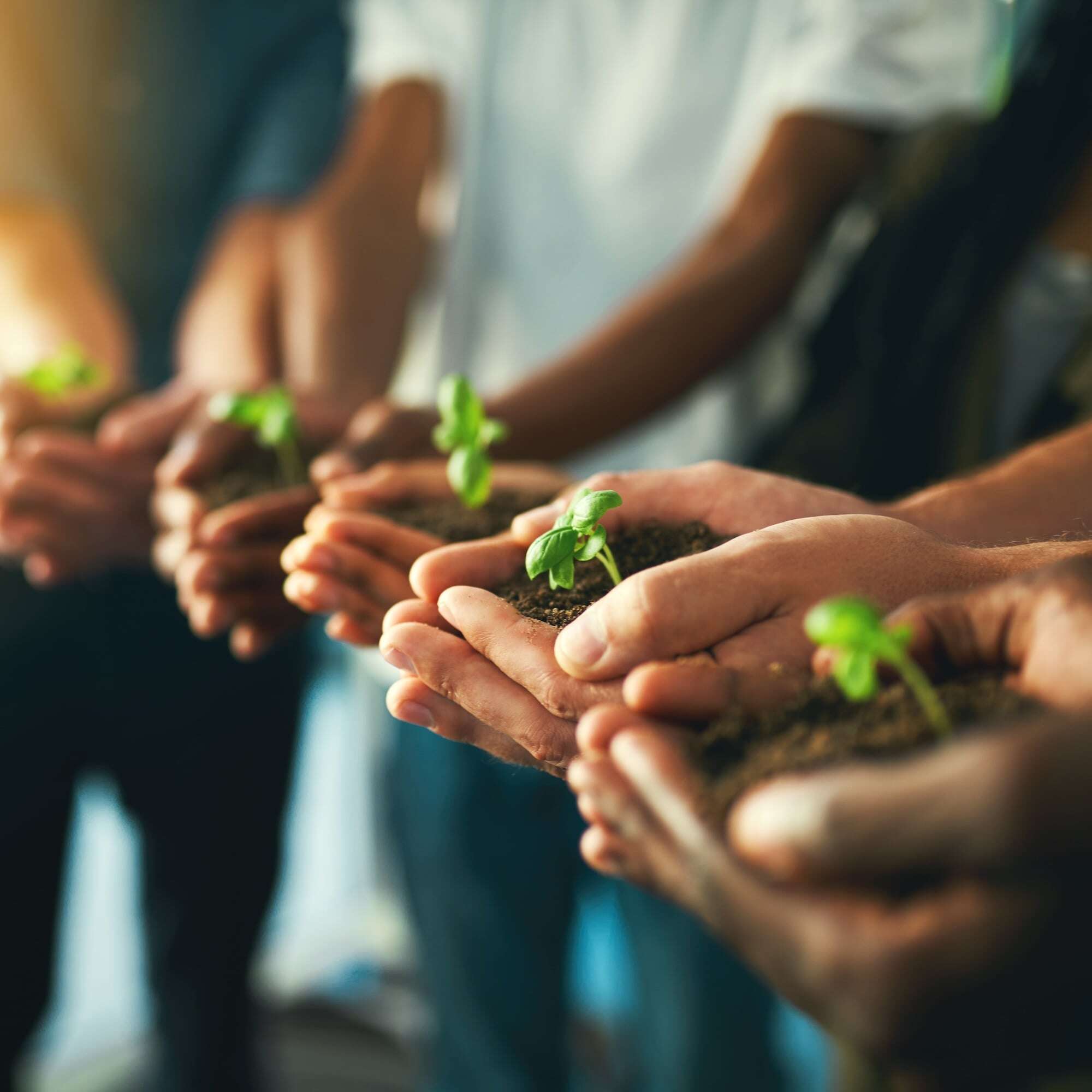 Employee Wellbeing Resources Hub | RGER
