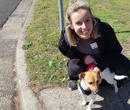 sydney-team-dog-and-cat-home-volunteer-benefit