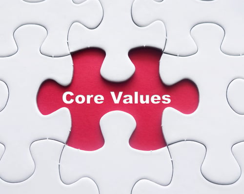 Company values are a critical piece of an organisation's mission