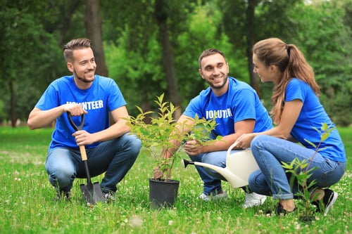 three employee volunteers planting a tree