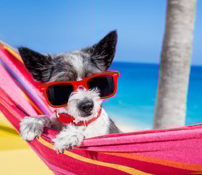 Ensure managers and organizational leaders are also taking PTO so that employees recognize the company stands behind its time-off policies.