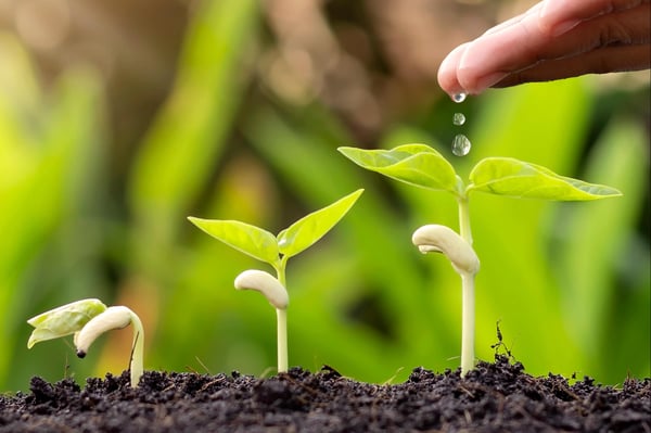 nurturing-plant-growth-min
