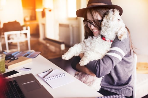 millennial-employee-with-dog.jpg