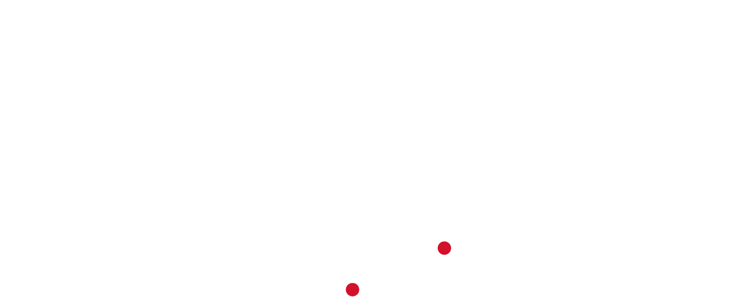 Chubb Logo White Transparent