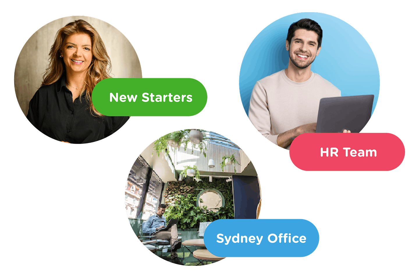 Segmented employee surveys